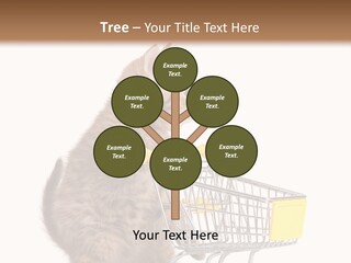 A Small Kitten Is Pushing A Shopping Cart PowerPoint Template