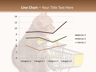 A Small Kitten Is Pushing A Shopping Cart PowerPoint Template