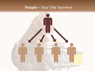 A Small Kitten Is Pushing A Shopping Cart PowerPoint Template