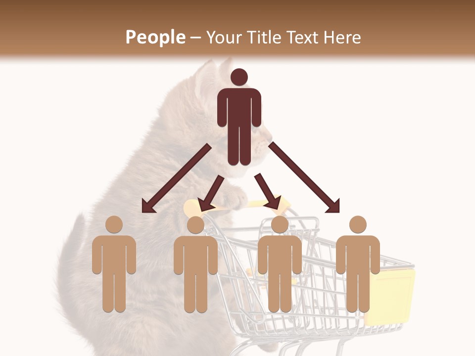 A Small Kitten Is Pushing A Shopping Cart PowerPoint Template