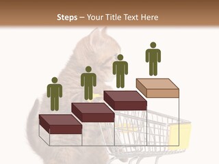 A Small Kitten Is Pushing A Shopping Cart PowerPoint Template