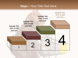 A Small Kitten Is Pushing A Shopping Cart PowerPoint Template