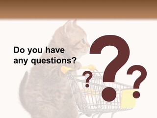 A Small Kitten Is Pushing A Shopping Cart PowerPoint Template