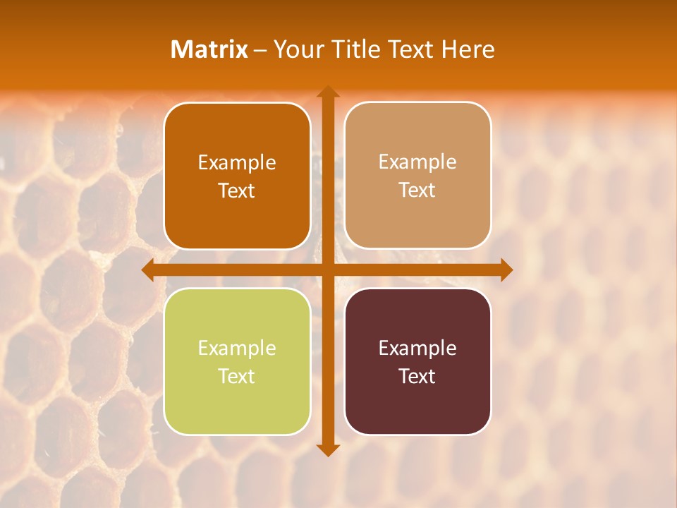 Two Bees On A Honeycomb Powerpoint Template PowerPoint Template