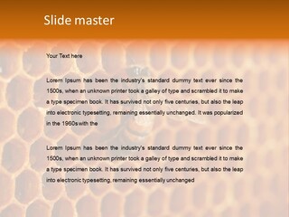 Two Bees On A Honeycomb Powerpoint Template PowerPoint Template