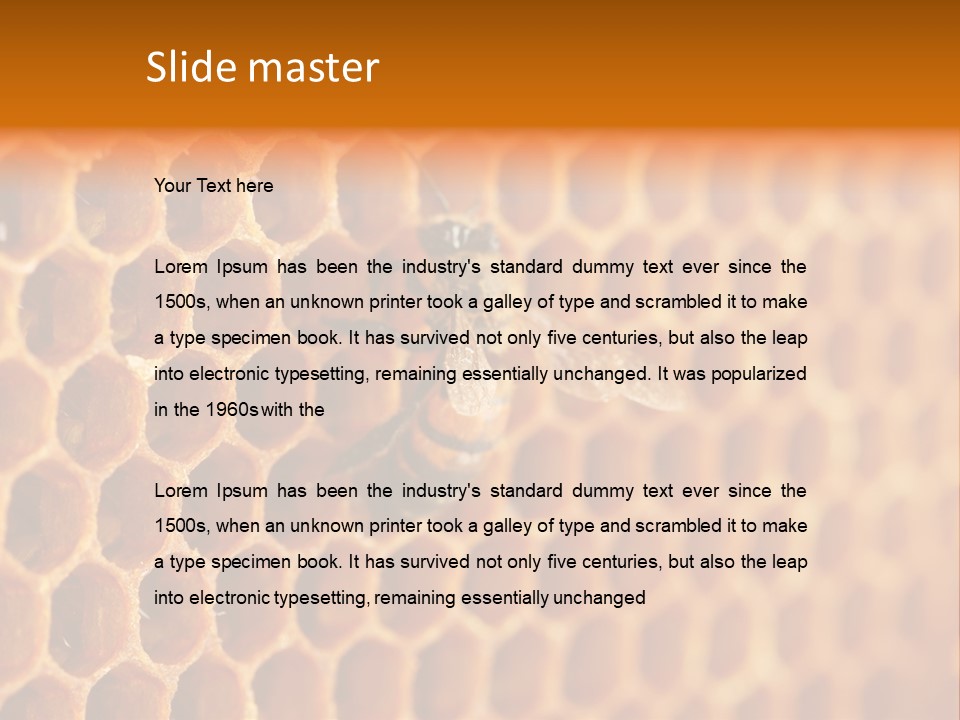 Two Bees On A Honeycomb Powerpoint Template PowerPoint Template