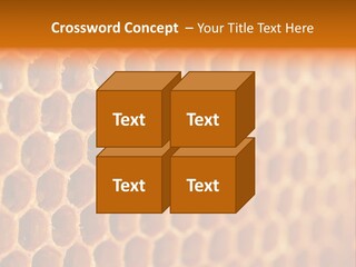 Two Bees On A Honeycomb Powerpoint Template PowerPoint Template