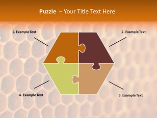 Two Bees On A Honeycomb Powerpoint Template PowerPoint Template