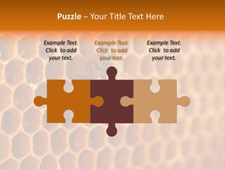 Two Bees On A Honeycomb Powerpoint Template PowerPoint Template