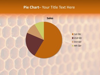 Two Bees On A Honeycomb Powerpoint Template PowerPoint Template