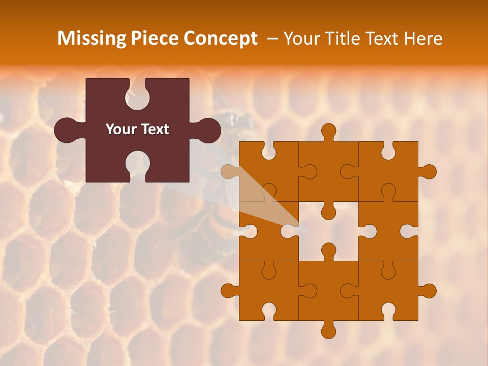 Two Bees On A Honeycomb Powerpoint Template PowerPoint Template