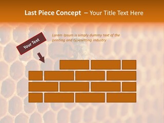Two Bees On A Honeycomb Powerpoint Template PowerPoint Template