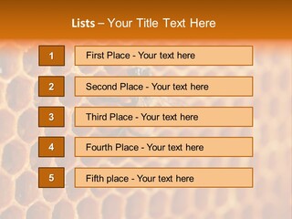 Two Bees On A Honeycomb Powerpoint Template PowerPoint Template