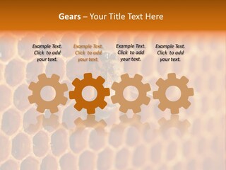 Two Bees On A Honeycomb Powerpoint Template PowerPoint Template