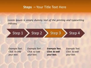 Two Bees On A Honeycomb Powerpoint Template PowerPoint Template