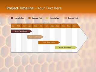 Two Bees On A Honeycomb Powerpoint Template PowerPoint Template