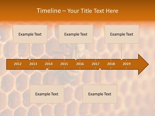 Two Bees On A Honeycomb Powerpoint Template PowerPoint Template