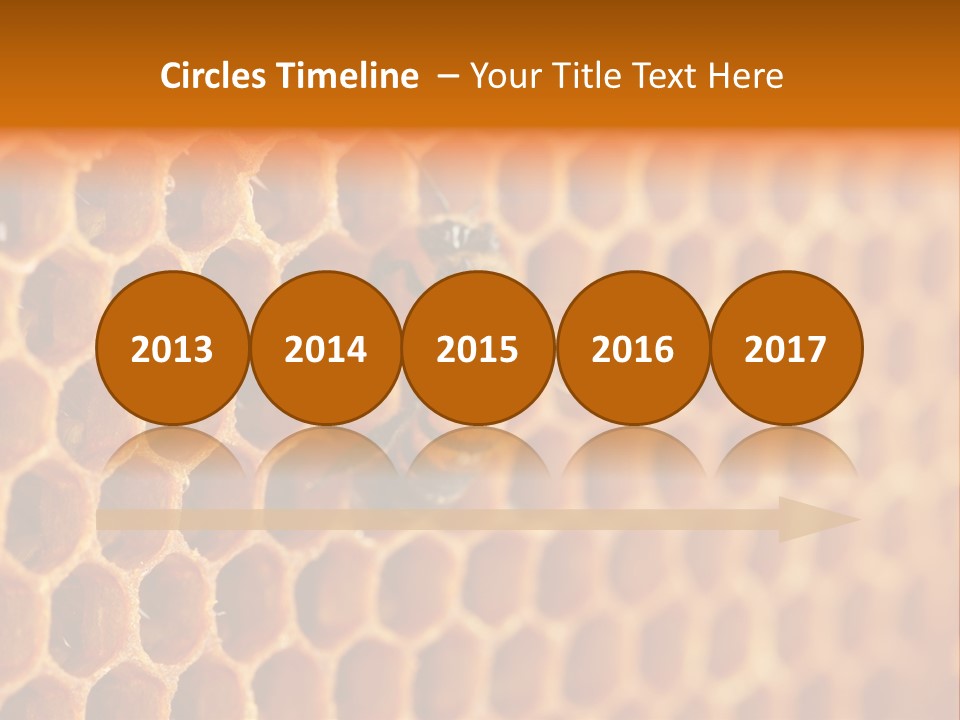 Two Bees On A Honeycomb Powerpoint Template PowerPoint Template