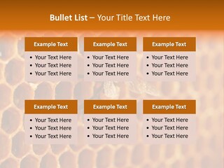 Two Bees On A Honeycomb Powerpoint Template PowerPoint Template