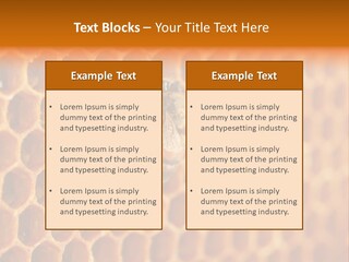Two Bees On A Honeycomb Powerpoint Template PowerPoint Template