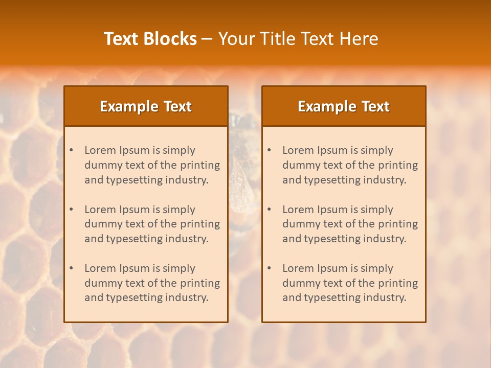 Two Bees On A Honeycomb Powerpoint Template PowerPoint Template