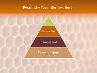 Two Bees On A Honeycomb Powerpoint Template PowerPoint Template