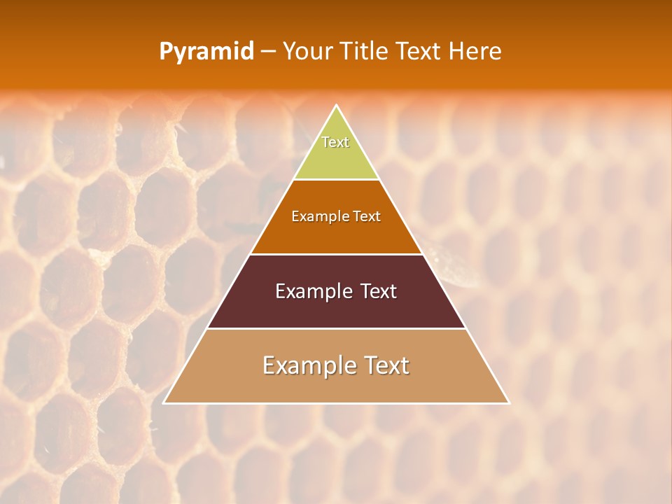 Two Bees On A Honeycomb Powerpoint Template PowerPoint Template
