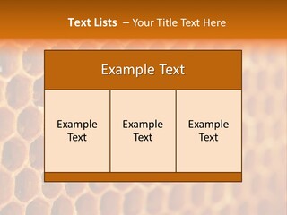 Two Bees On A Honeycomb Powerpoint Template PowerPoint Template
