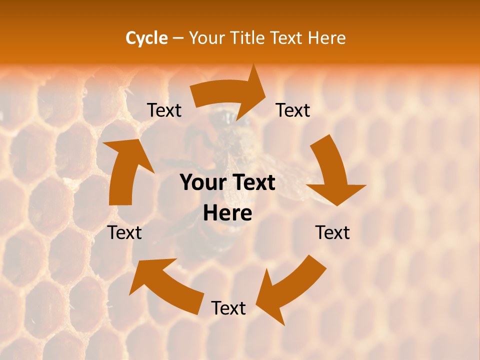 Two Bees On A Honeycomb Powerpoint Template PowerPoint Template