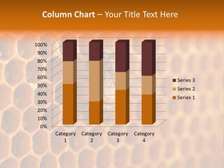 Two Bees On A Honeycomb Powerpoint Template PowerPoint Template