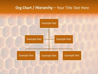 Two Bees On A Honeycomb Powerpoint Template PowerPoint Template