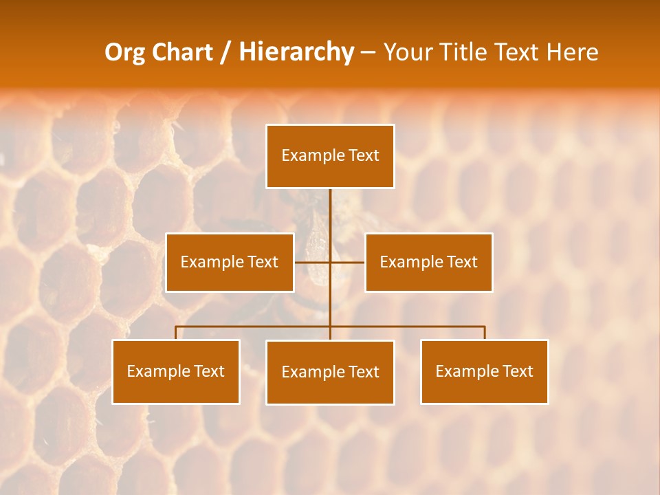 Two Bees On A Honeycomb Powerpoint Template PowerPoint Template