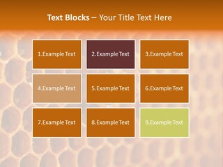 Two Bees On A Honeycomb Powerpoint Template PowerPoint Template