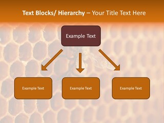 Two Bees On A Honeycomb Powerpoint Template PowerPoint Template