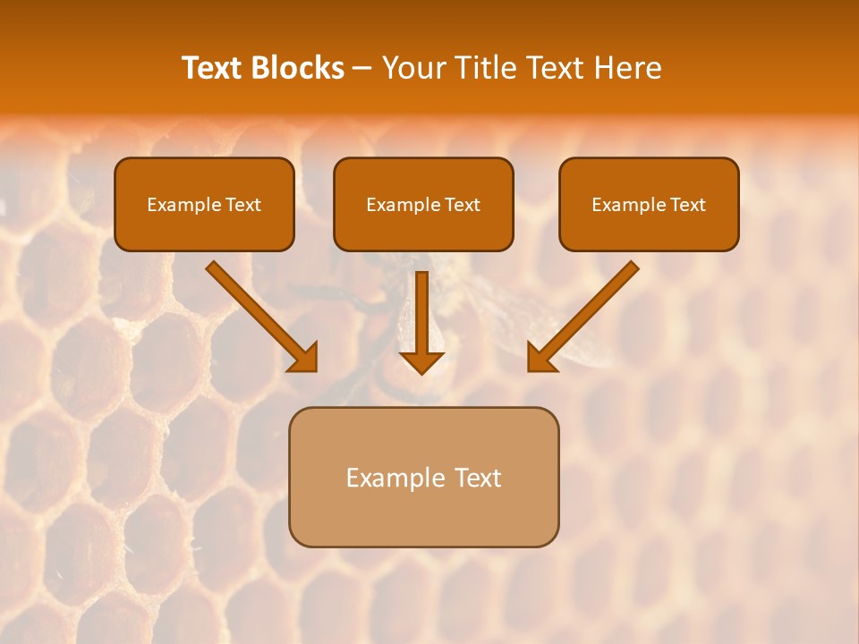 Two Bees On A Honeycomb Powerpoint Template PowerPoint Template