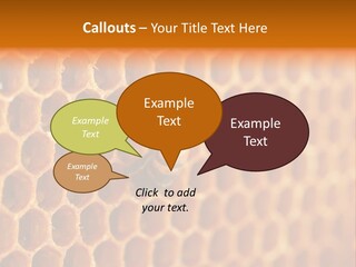 Two Bees On A Honeycomb Powerpoint Template PowerPoint Template