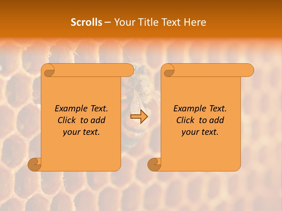 Two Bees On A Honeycomb Powerpoint Template PowerPoint Template