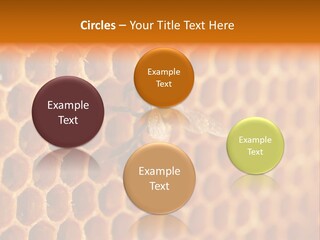 Two Bees On A Honeycomb Powerpoint Template PowerPoint Template