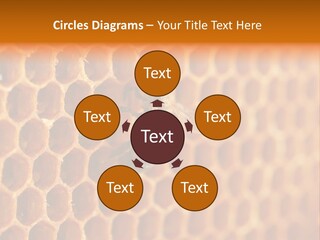 Two Bees On A Honeycomb Powerpoint Template PowerPoint Template