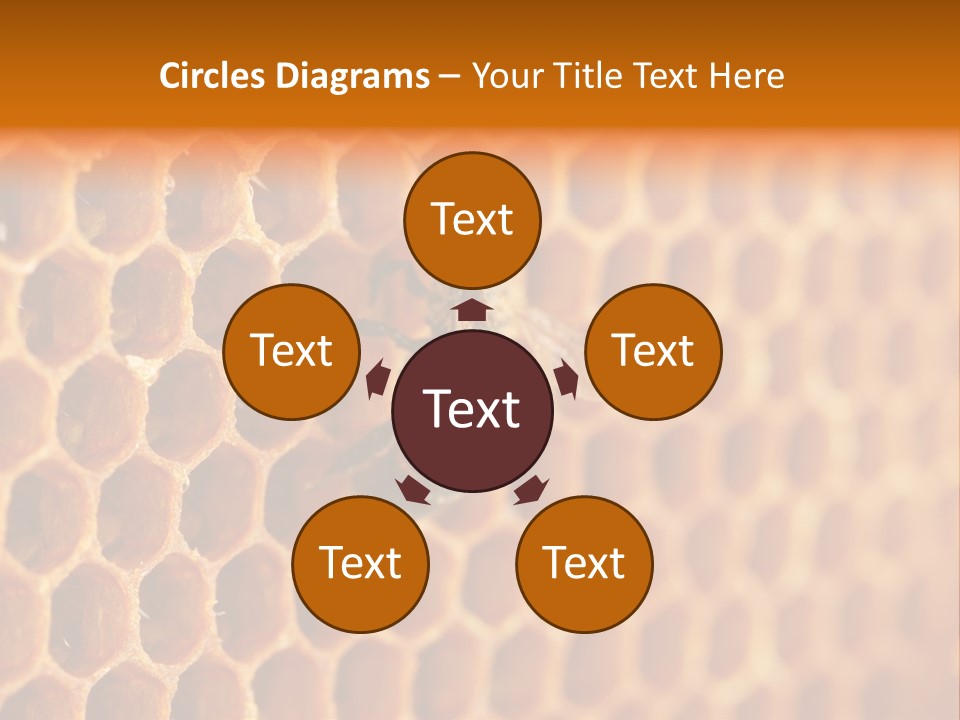 Two Bees On A Honeycomb Powerpoint Template PowerPoint Template