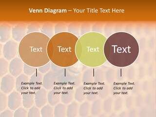 Two Bees On A Honeycomb Powerpoint Template PowerPoint Template