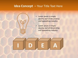 Two Bees On A Honeycomb Powerpoint Template PowerPoint Template
