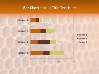 Two Bees On A Honeycomb Powerpoint Template PowerPoint Template