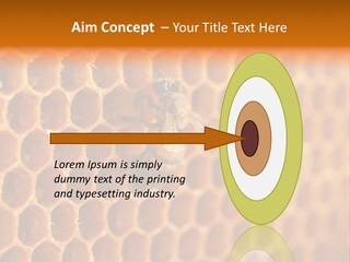 Two Bees On A Honeycomb Powerpoint Template PowerPoint Template