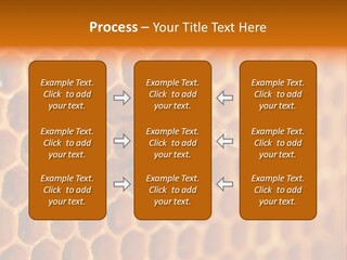 Two Bees On A Honeycomb Powerpoint Template PowerPoint Template