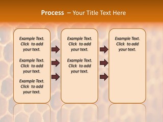 Two Bees On A Honeycomb Powerpoint Template PowerPoint Template