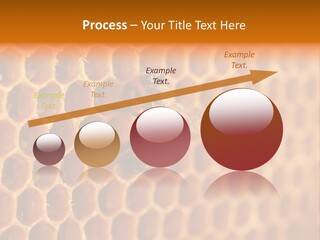 Two Bees On A Honeycomb Powerpoint Template PowerPoint Template