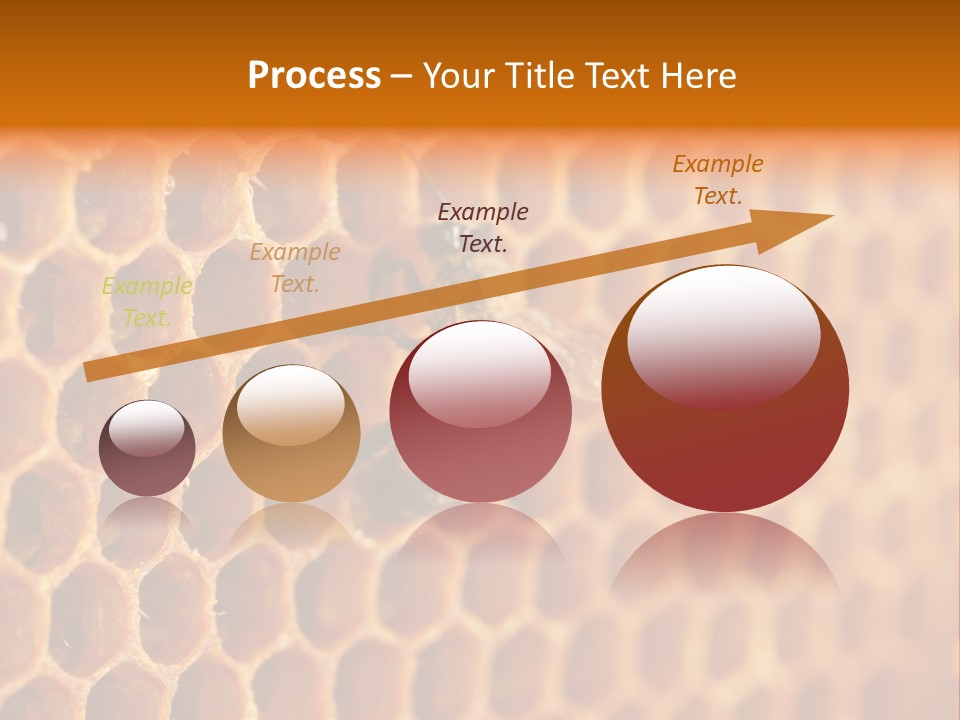 Two Bees On A Honeycomb Powerpoint Template PowerPoint Template