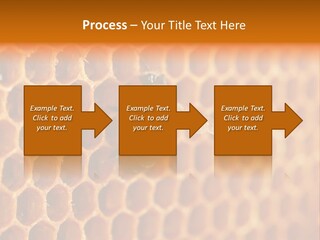Two Bees On A Honeycomb Powerpoint Template PowerPoint Template