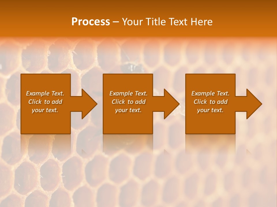 Two Bees On A Honeycomb Powerpoint Template PowerPoint Template